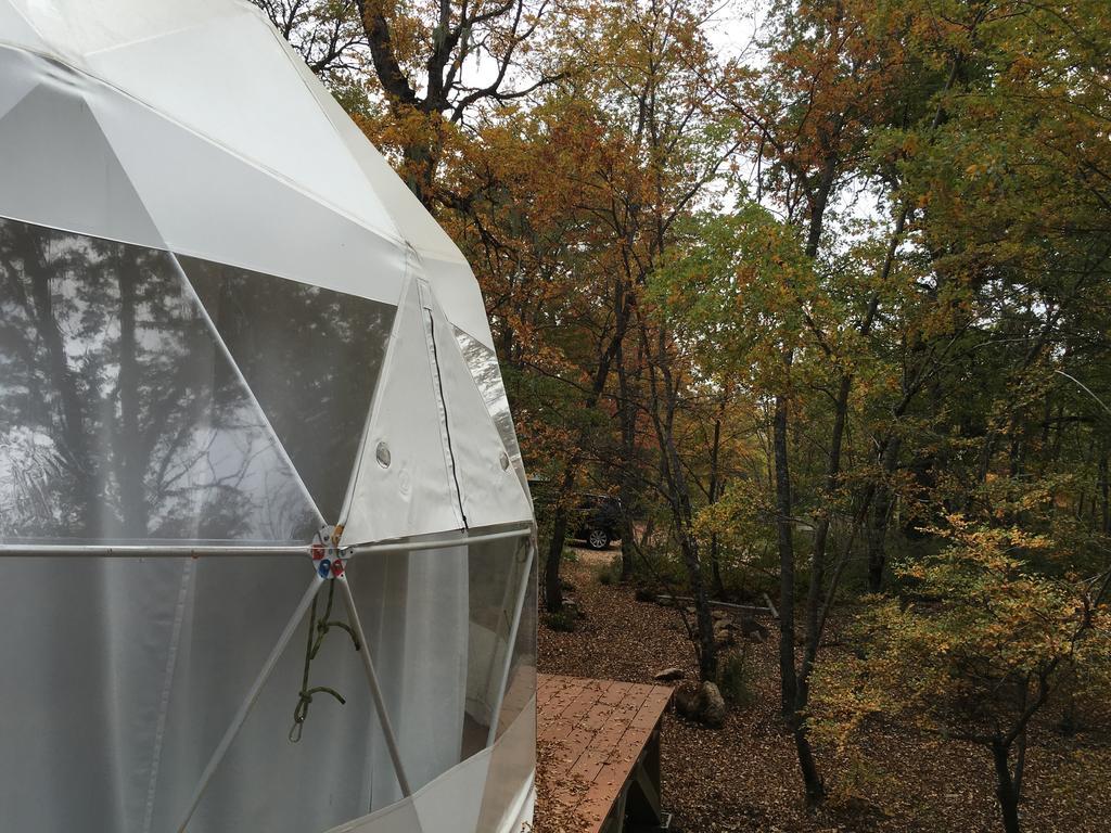 Отель Glamping Domos Treepod Лас Транкас Экстерьер фото